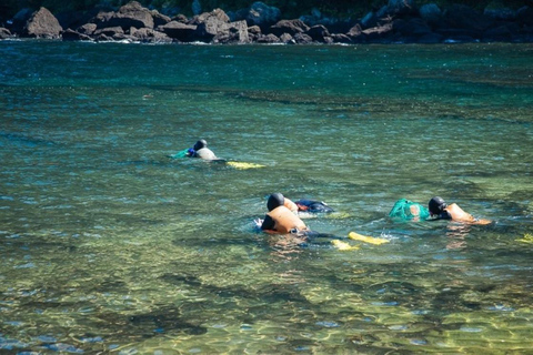 Jeju East Coast Photo Friendly Private Tour for Cruise Guest Jeju International Port