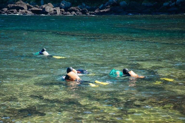 Jeju East Coast Photo Friendly Private Tour for Cruise Guest Jeju International Port