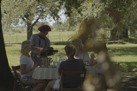 从布宜诺斯艾利斯出发：埃尔翁布德阿雷科（含接送服务）从布宜诺斯艾利斯出发：阿雷科的奥姆布树，含接送服务