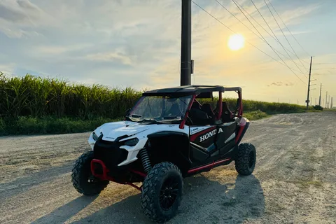 Miami's Ultimate Buggy Adventure on a Honda Talon UTV