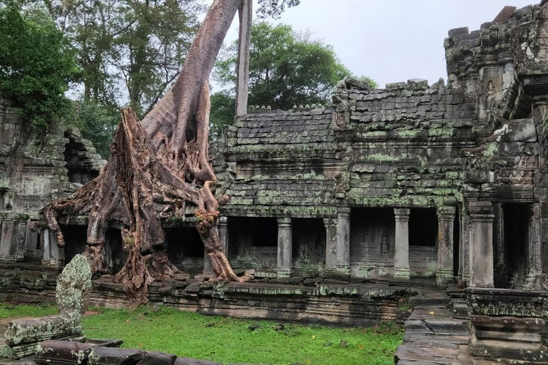 Phnom Penh Sehenswürdigkeiten &amp; Siem Reap Angkor Wat 2 Tage Paket