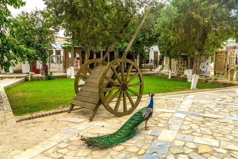 Explora a zona rural de Bukhara com uma experiência de almoço local