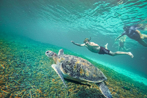 Koh Tao: Koh Nangyuan & Hidden Bays Snorkeling Tour w/ Lunch