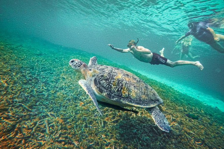 Koh Tao: Koh Nangyuan & Hidden Bays Snorkeling Tour w/ Lunch