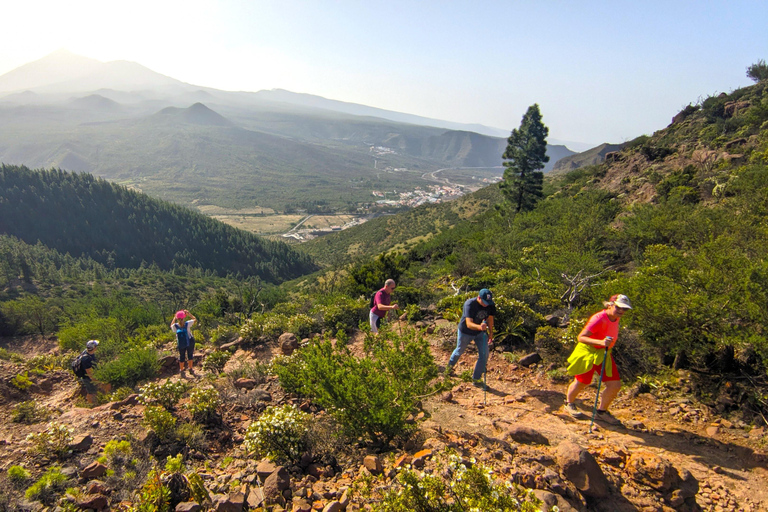 Tenerife: Hike Above Masca in Enchanted Forest with Pick-up