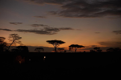 Arusza: 4 dni safari w Tarangire, Serengeti i Ngorongoro4 dni przygody z dziką przyrodą w Tarangire, Serengeti i Ngorongoro