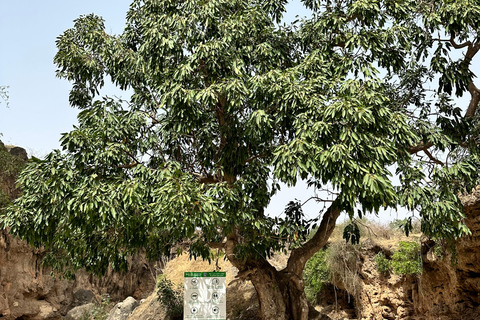 Excursão particular de 1 dia para Salalah - Principais atrações