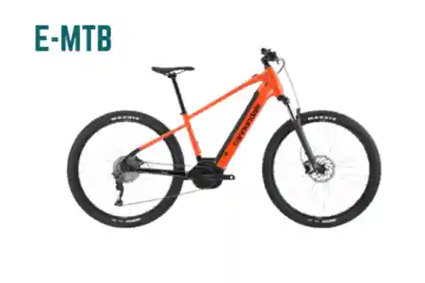 Fahrradverleih Gabicce Monte (E-MBT, MBT, Straße & Schotter, E-Gravel)