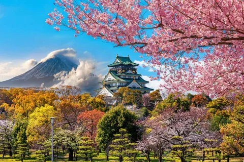 Japan: 6-daagse rondreis door Tokio, Mount Fuji, Kyoto, Nara en Osaka
