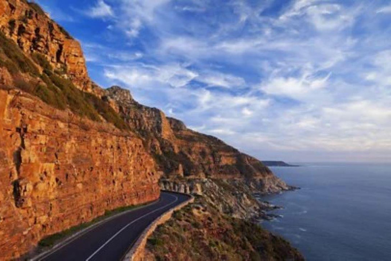 Ciudad del Cabo: Tour de día completo por la Península del Cabo y la Playa de los Pingüinos