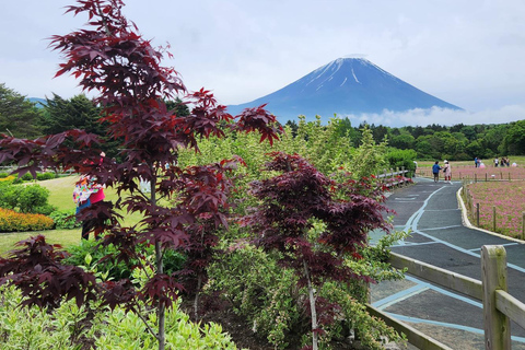 Tokyo: Tour personalizzato del Monte Fuji con autista di lingua ingleseToyota Crown di lusso fino a 3 persone