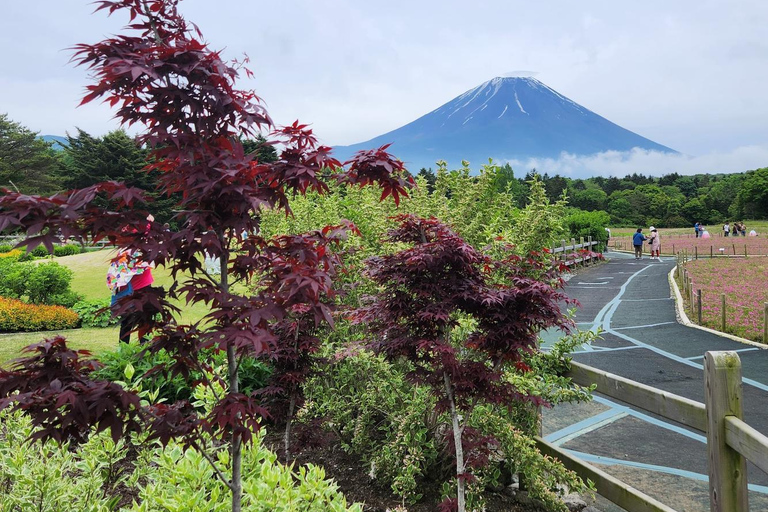 Tokyo: Tour personalizzato del Monte Fuji con autista di lingua ingleseToyota Crown di lusso fino a 3 persone