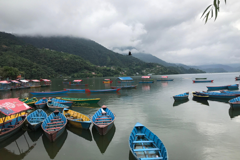 Nepal: Klassisk rundresa Klassisk rundtur 8 dagar (Katmandu, Chitwan och Pokhara)Klassisk Nepal-turné (delad tur med busstur)