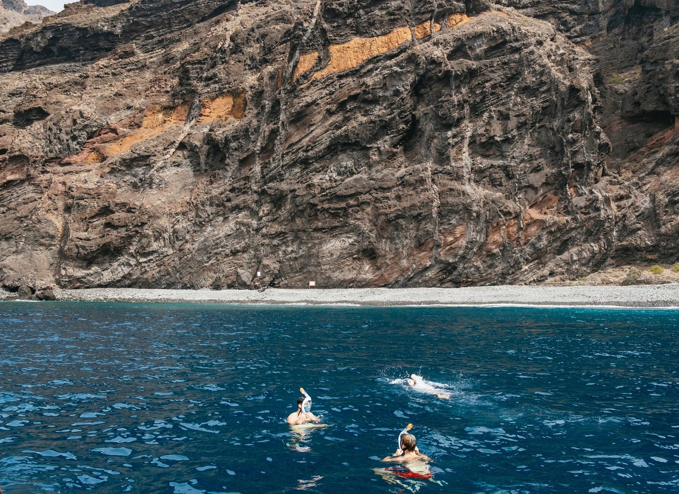 Costa Adeje: Økokrydstogt med hvaler og delfiner med snacks og drikkevarer