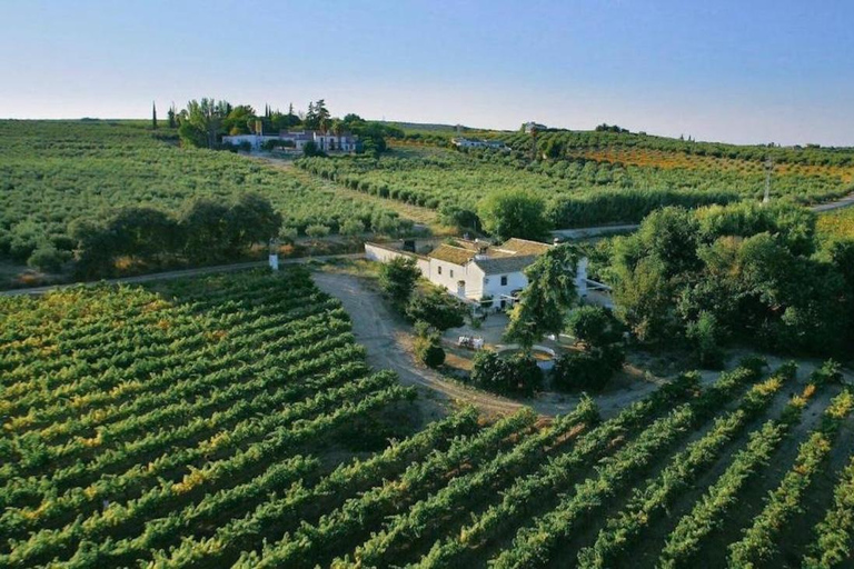 Seville: Bull Ranch, Winery & Rábida Monastery Tour