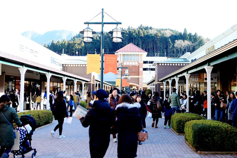 From Tokyo: Mt.Fuji & Gotemba Outlets Private Day Trip