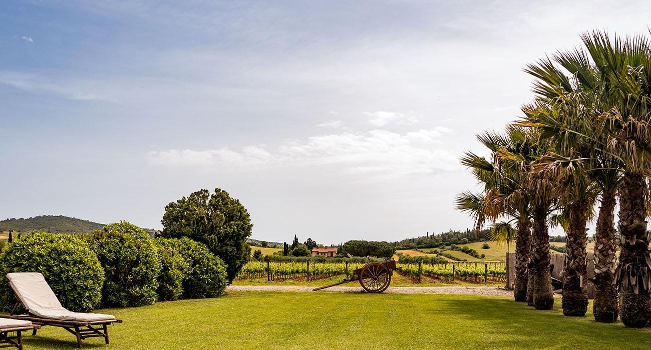 Wein verbindet, das Land inspiriert! Der Wein verbindet, das Terroir inspiriert!