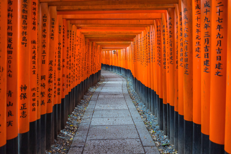 Osaka: Kyoto Werelderfgoed &amp; Nara Schattige Herten 1-daagse bustour