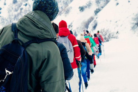 Depuis Katmandou : Trek de 3 jours à Kalinchowk