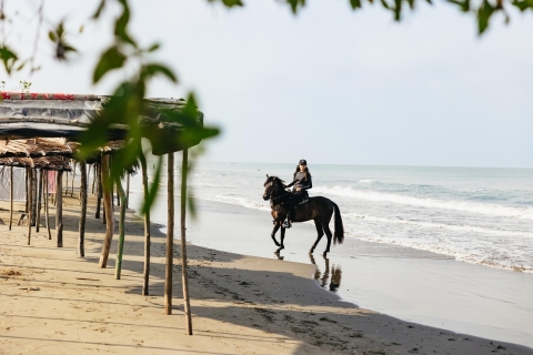 Cartagena: a caballo en la playa y cultura equina colombiana