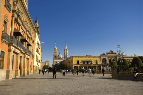 León: Safári fotográfico na região de Rincón com Box Lunch