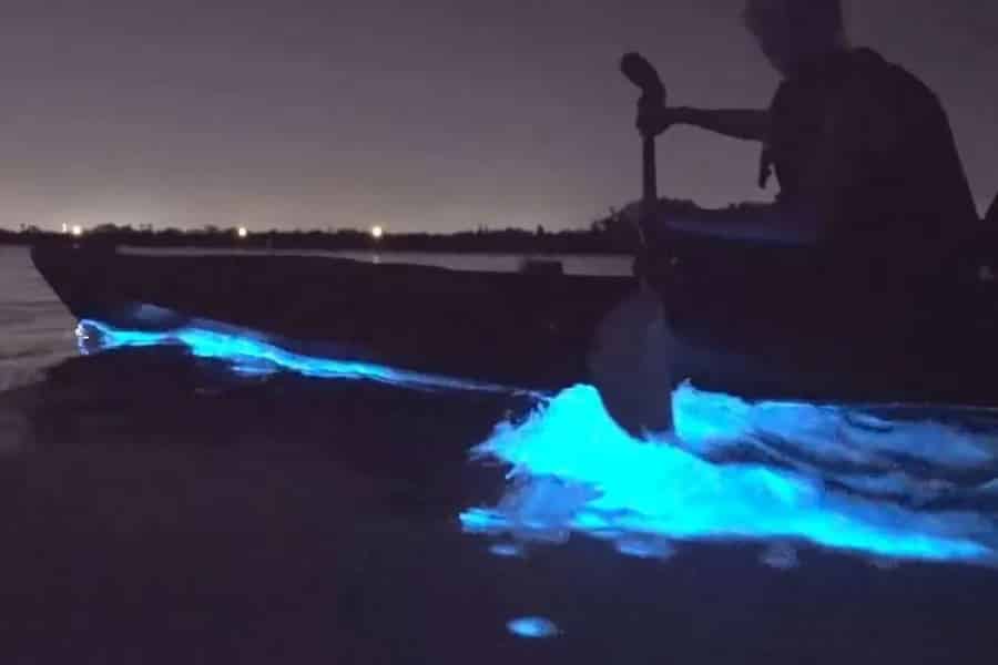 Eastsound: Biolumineszenz-Kajaktour auf Orcas Island. Foto: GetYourGuide