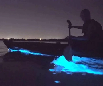 Eastsound: Orcas Island Bioluminescent Kayak Tour