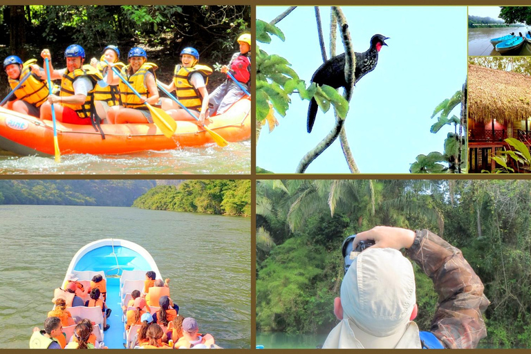 Chiapas: Tour particular de natureza e aventura 5 dias - 4 noitesChiapas: Aventura de 5 dias na fauna e nas cachoeiras