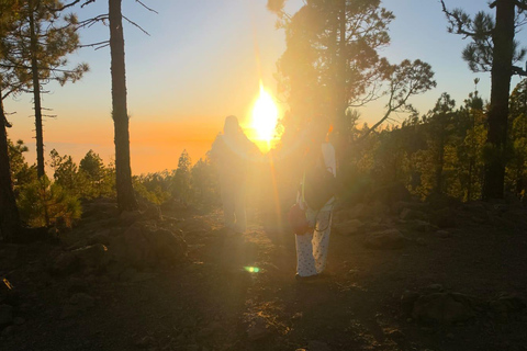Tenerife: Teide Sunset and Stargazing, 20-Inch Telescope Teide by Night: 20-Inch Telescope, Hungarian & English