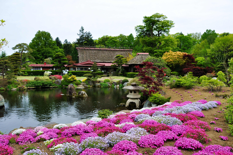 Tour privato personalizzato sul Monte Fuji