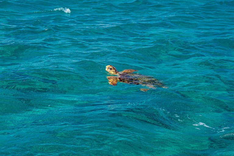 Zakynthos : Cruise Around the Island Boat tour Max 5 Pax