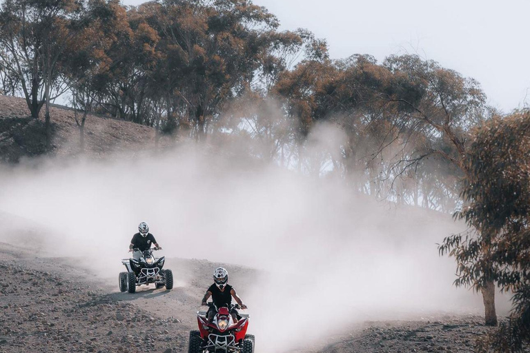 Marrakech: Excursión por el desierto de Agafay con quad, paseo en camello y cena