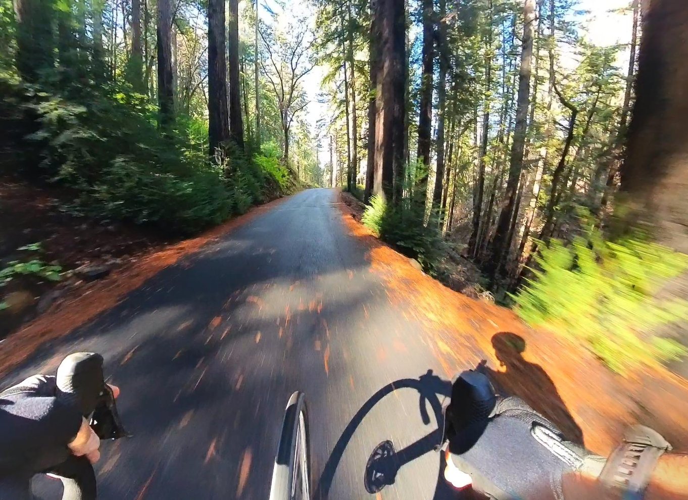 Napa/Sonoma: Guidet tur for cykelentusiaster