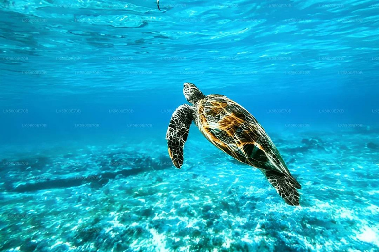 Hidden Sri Lanka 5-Day Jaffna Mannar & Trincomalee Adventure