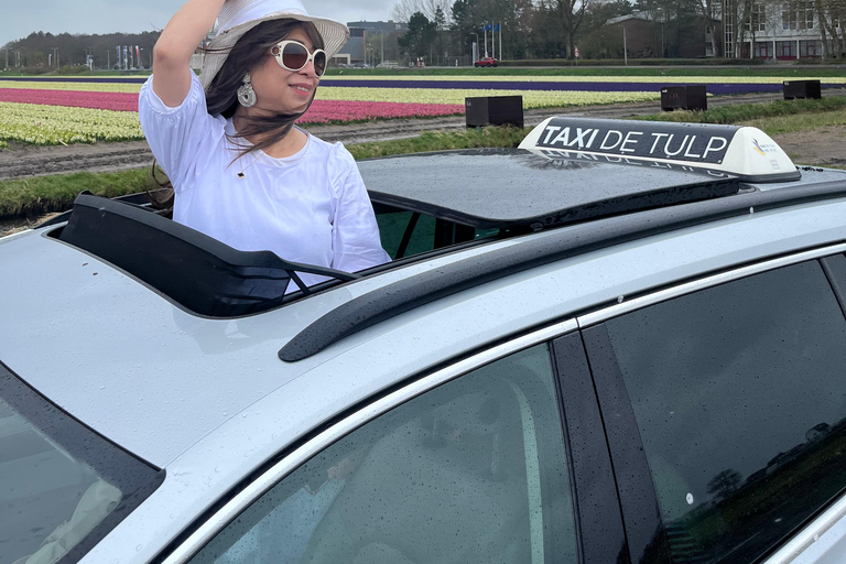 Lisse: Private Tulip Fields Tour with a Local Guide 1h Tour