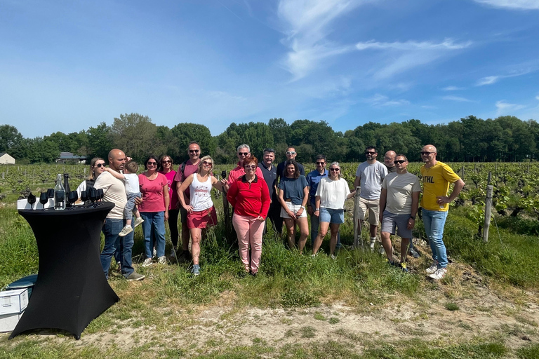 Educational hike in the Anjou vineyards Wine Hike