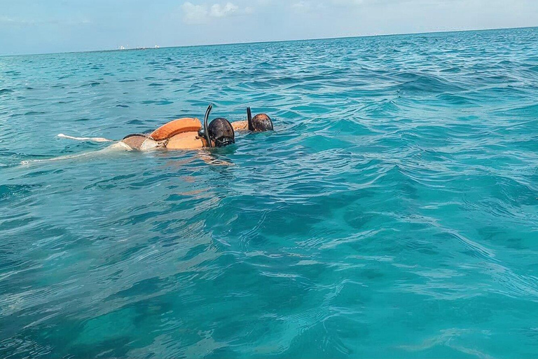 Eco Speedboat Snorkeling Experience from Punta Cana