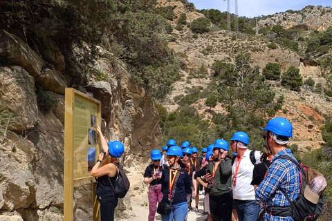 From Fuengirola: Caminito del Rey Guided Day Trip From Fuengirola