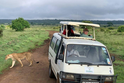 Nairobi Nationalpark, Elefantenbaby & Mittagessen im Carnivore