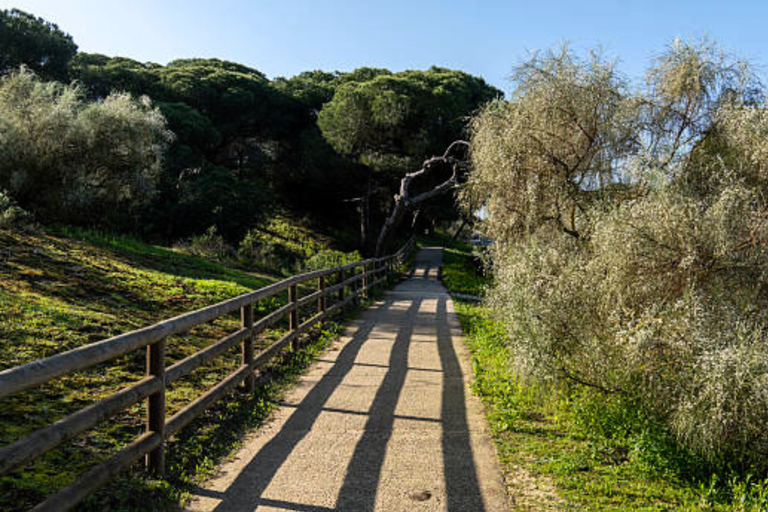 Huelva-Punta Umbria Bike Sightseeing Tour and Cruise Tour Huelva-Punta Umbria Sightseeing Tour and Boat Ride