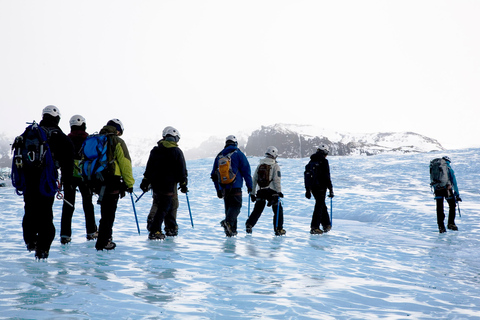 Reykjavík Combo wycieczki: Glacier Wędrówki i Ice Climbing Day-TourLodowce piesze i lodowe - bez transportu