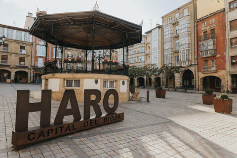 3 Day Experience: The Culture and Flavor Bilbao & Rioja