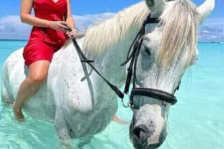 Experience Ocean & Village Horse Riding on Zanzibar Beach FOR GUESTS STAYING IN NORTH & EAST COAST AREAS. 30 MINUTES