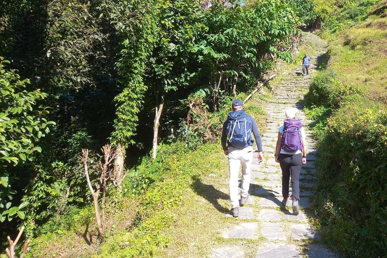 Pokhara: Small Group Day Hike to Australian Camp