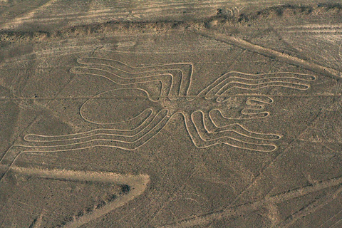 Nazca: Maria Reiche Museum and Nazca Lines Viewpoint Tour