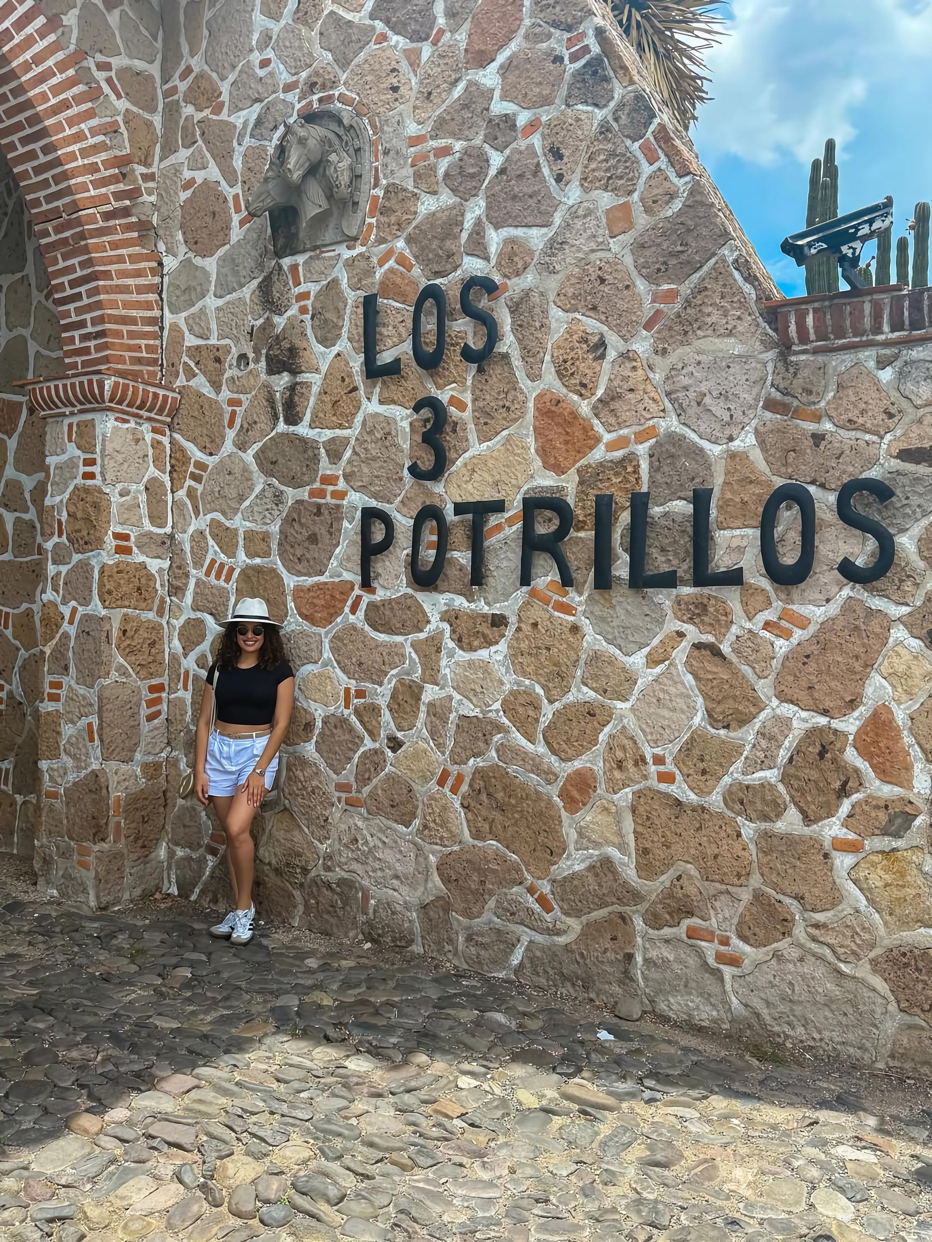 Privat: Rancho Vicente Fdez, Ajijic, Chapala und Tlaquepaque