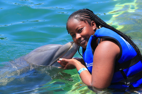 Punta Cana Dolphin Swim Adventure: 40-minütiges Delfin-Erlebnis