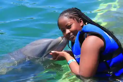 Aventura con delfines en Punta Cana: Interacción de 40 minutos