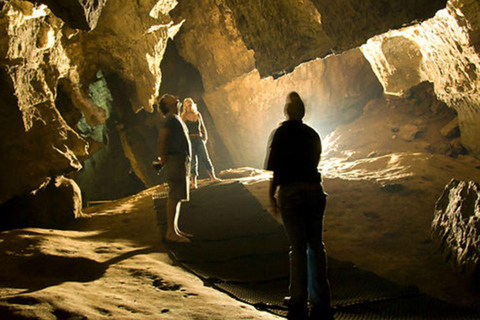 Johannesburg: Cradle of Humankind Day Tour mit Abholung vom Hotel