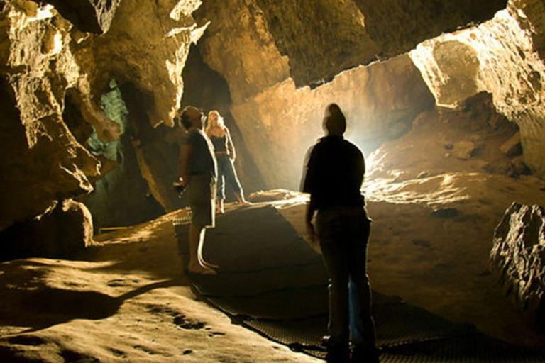 Johannesburg: Cradle of Humankind Day Tour with Hotel Pickup